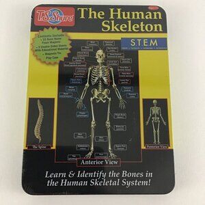 T.S. Shure Magnetic Learning Activity The Human Skeleton Tin Play Case Bone Name